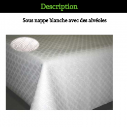 PROTEGE TABLE RESITANT