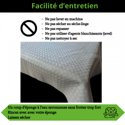 PROTEGE TABLE RESITANT