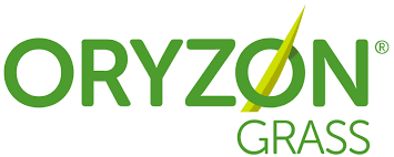 Oryzon grass