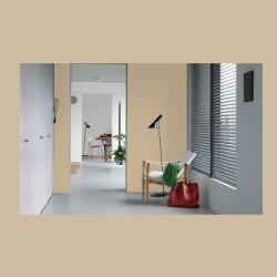 avantages peinture velours