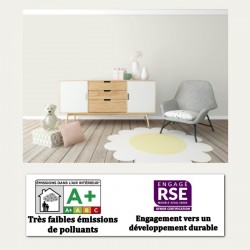 peinture velours au pistolet