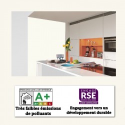 peinture velours au pistolet