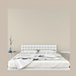 avantages peinture velours