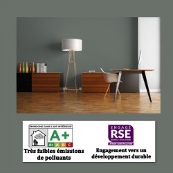 peinture velours au pistolet