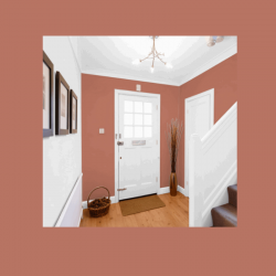 avantages peinture velours