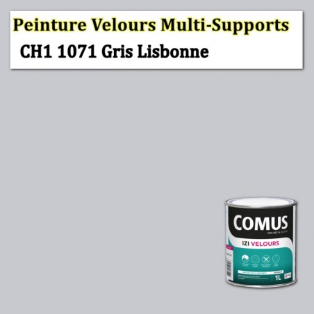 C'est quoi la peinture velours ?