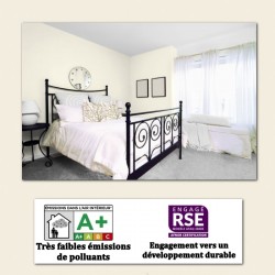 Quelle est la meilleure peinture murale blanche pour l'intérieur ?