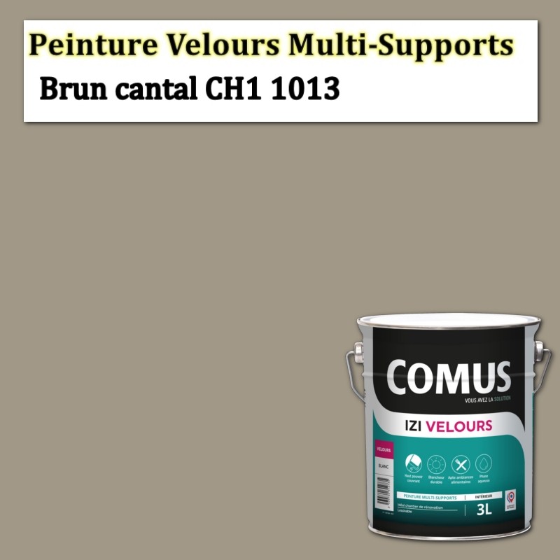 Quelle est la différence entre de la peinture velours et du satin ?