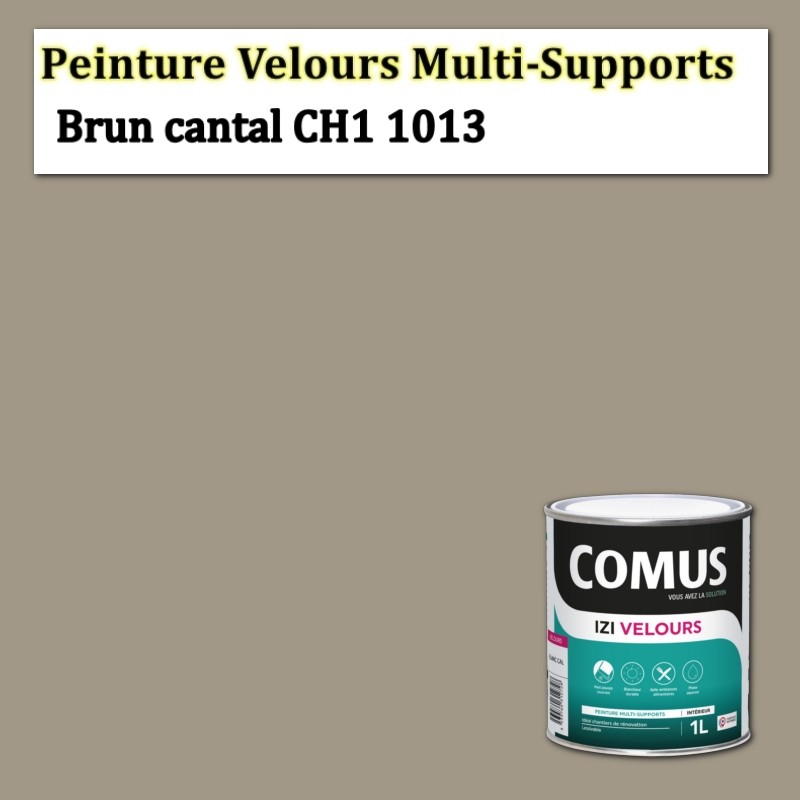 C'est quoi la peinture velours ?