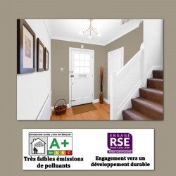 peinture velours au pistolet