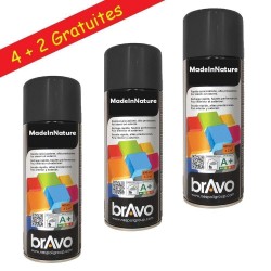 Lot d'aérosol peinture nuancier RAL 9005