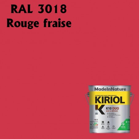 peinture fer