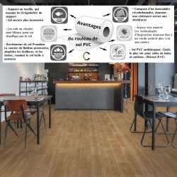 sol PVC en rouleau 5 m de large