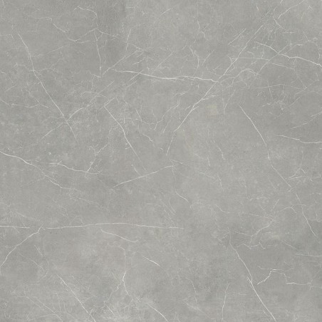 sol PVC rouleau passage intensif