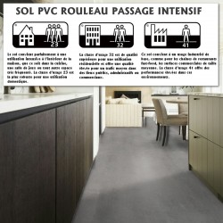 sol pvc rouleau gris