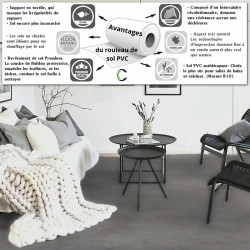 sol pvc rouleau passage intensif