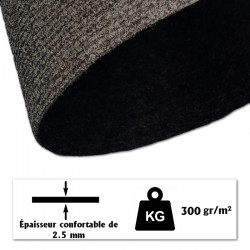 Moquette extérieure facile à nettoyer