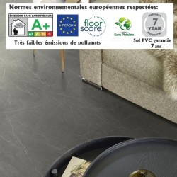 rouleau de sol PVC pas cher