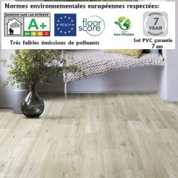 rouleau de sol PVC pas cher