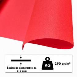 tapis rouge Holywood