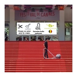 tapis rouge montée des marches festival de cannes