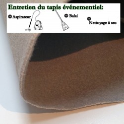 tapis en rouleau pas cher pour salon professionnel