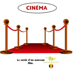 cérémonie des oscars tapis rouge