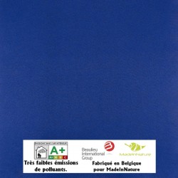 Tapis bleu cérémonie