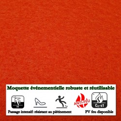 tapis rouge hollywood