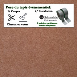 moquette salon professionnel pas cher en rouleau complet