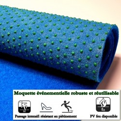 sable pour gazon synthétique