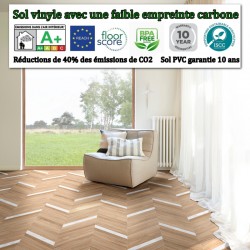 rouleau de sol PVC pas cher