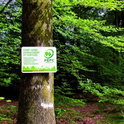 champlat couvre joint